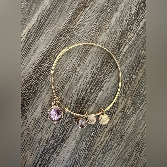 Alex and Ani February Birthstone Bracelet - Picture 6 of 6
